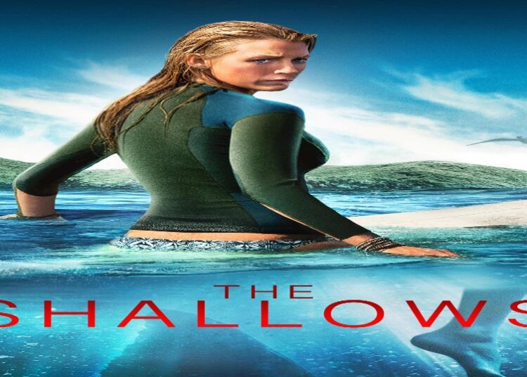 the shallows