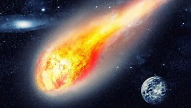 Asteroid passing Earth near NASA-tracked orbit on August 5