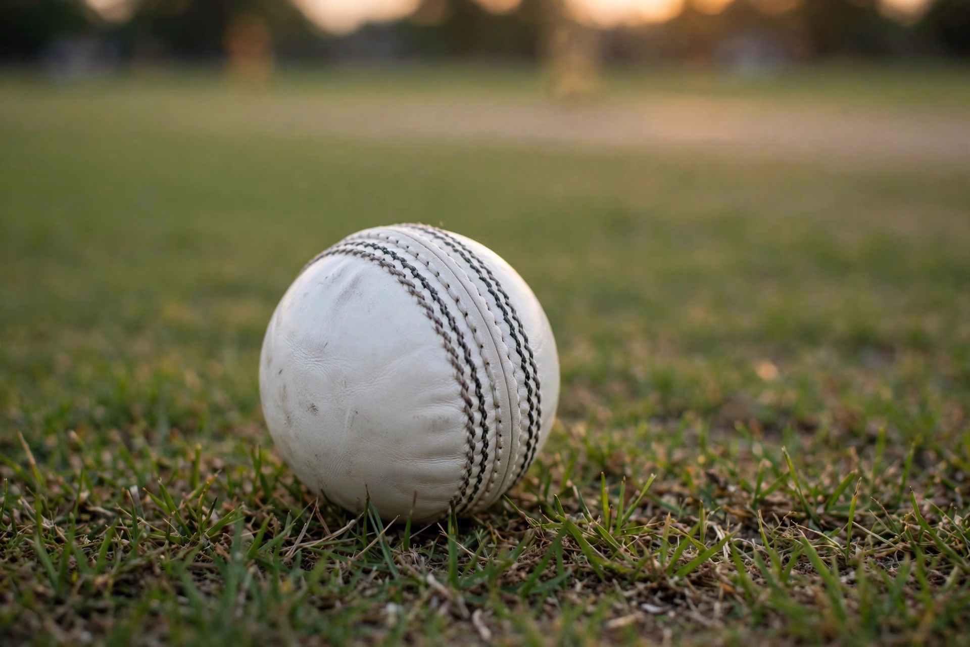 White cricket ball resting on a cricket pitch before a T20 match